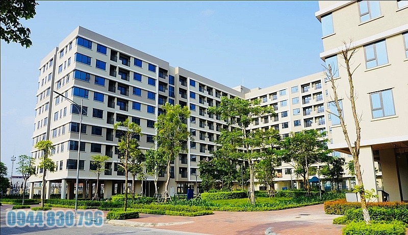 dịch vụ vay thế chấp sổ đỏ